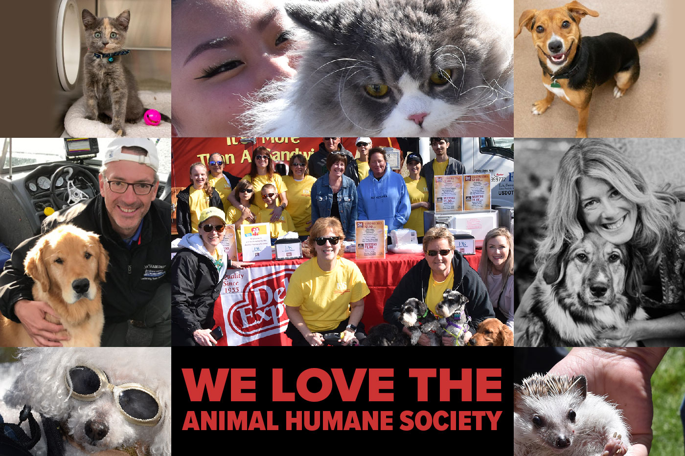 We love the Animal Humane Society image